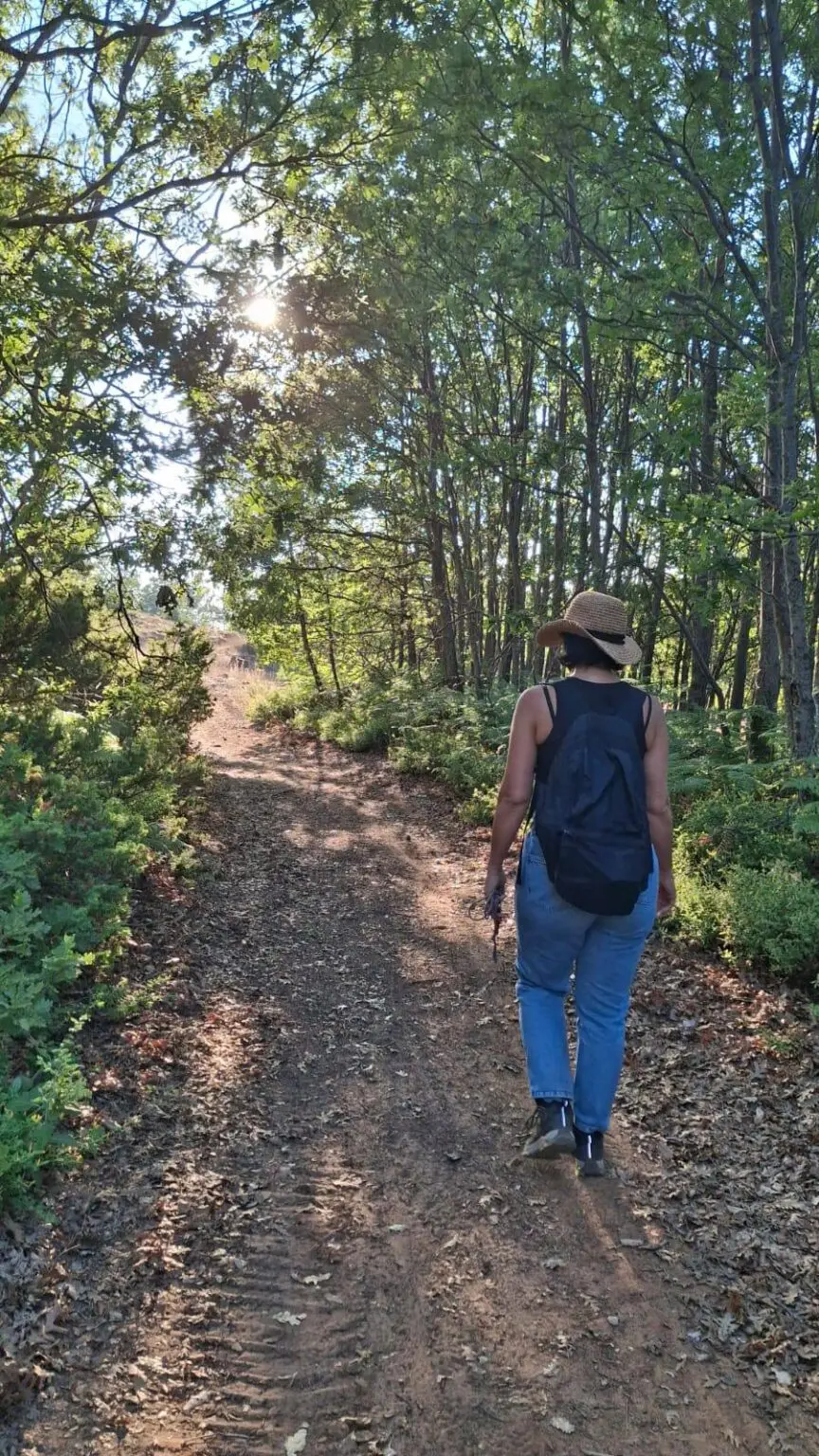 Ubuntu Silent Hikes
